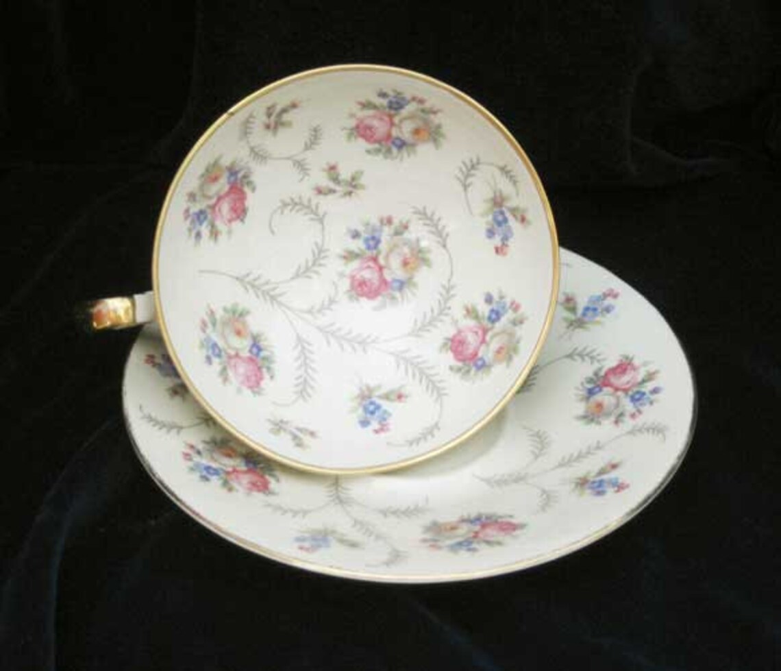 Vintage Bavaria Germany Tea Cup and Saucer by HERTEL JACOB - Etsy