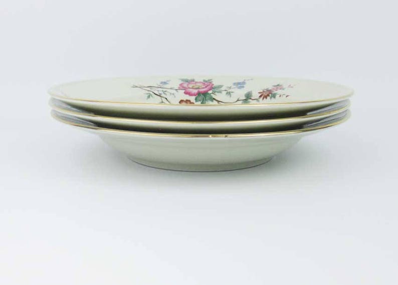 Johann Haviland Modell W825 Rimmed Soup Bowls 3