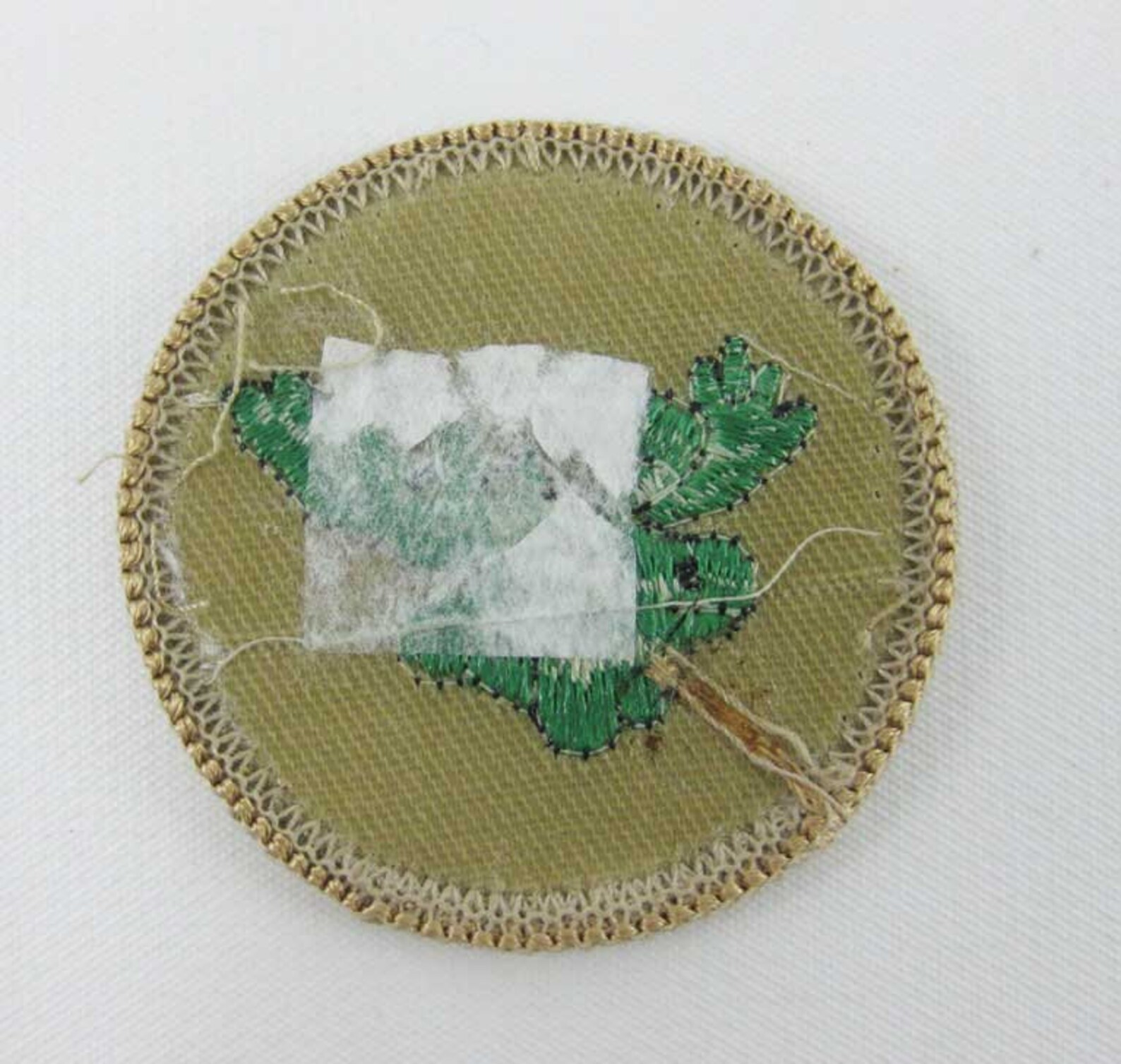 Vintage BSA Boy Scout Patrol Patch Green Moose Patrol Etsy