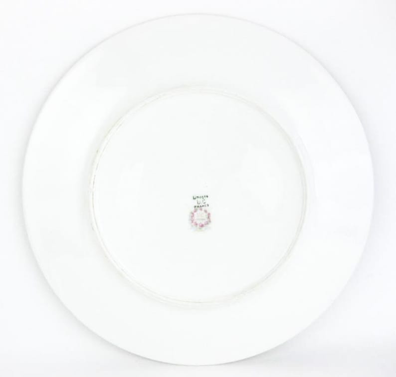 May include: White ceramic plate with a wide rim. The underside features a small, circular emblem with floral details and the text "Limoges France". The plate is round and appears to be a dinner plate.