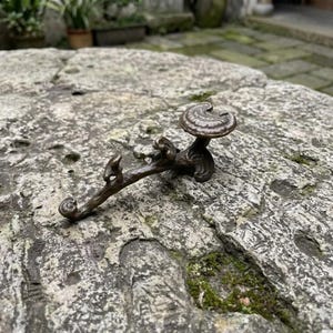 May include: A dark bronze-colored metal hook shaped like a tree branch with a prominent mushroom or fungus cap at the top. The hook features a textured, organic surface with a curved end and a smaller branch-like protrusion extending from the center.