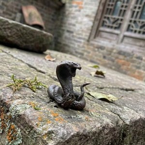 May include: A small, dark brown, metallic cobra figurine in a coiled, upright striking position with its hood flared and mouth open, showing detailed scales and a textured surface, resting on a weathered, mossy stone surface outdoors.