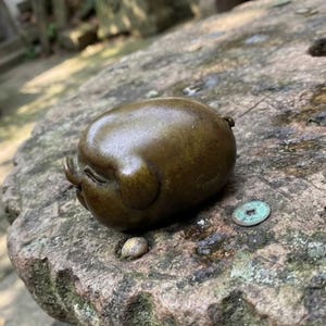 Op de afbeelding: Een klein, glad, bronskleurig beeldje in de vorm van een afgerond varken. Het object heeft een eenvoudig ontwerp met een kleine snuit, gesloten ogen en afgeronde oren, rustend op een textuurrijk, verweerd stenen oppervlak naast een kleine munt.