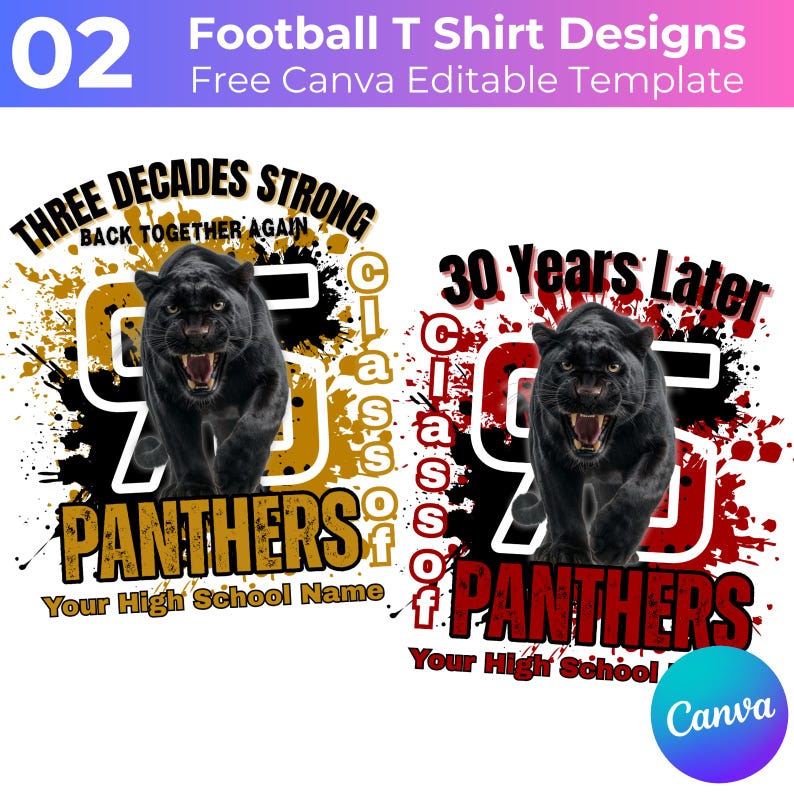 May include: A design template for football t-shirts. The design features a black panther, the number 95, and the text "PANTHERS". The text "THREE DECADES STRONG" and "30 Years Later" are also included. The design is in gold and red.