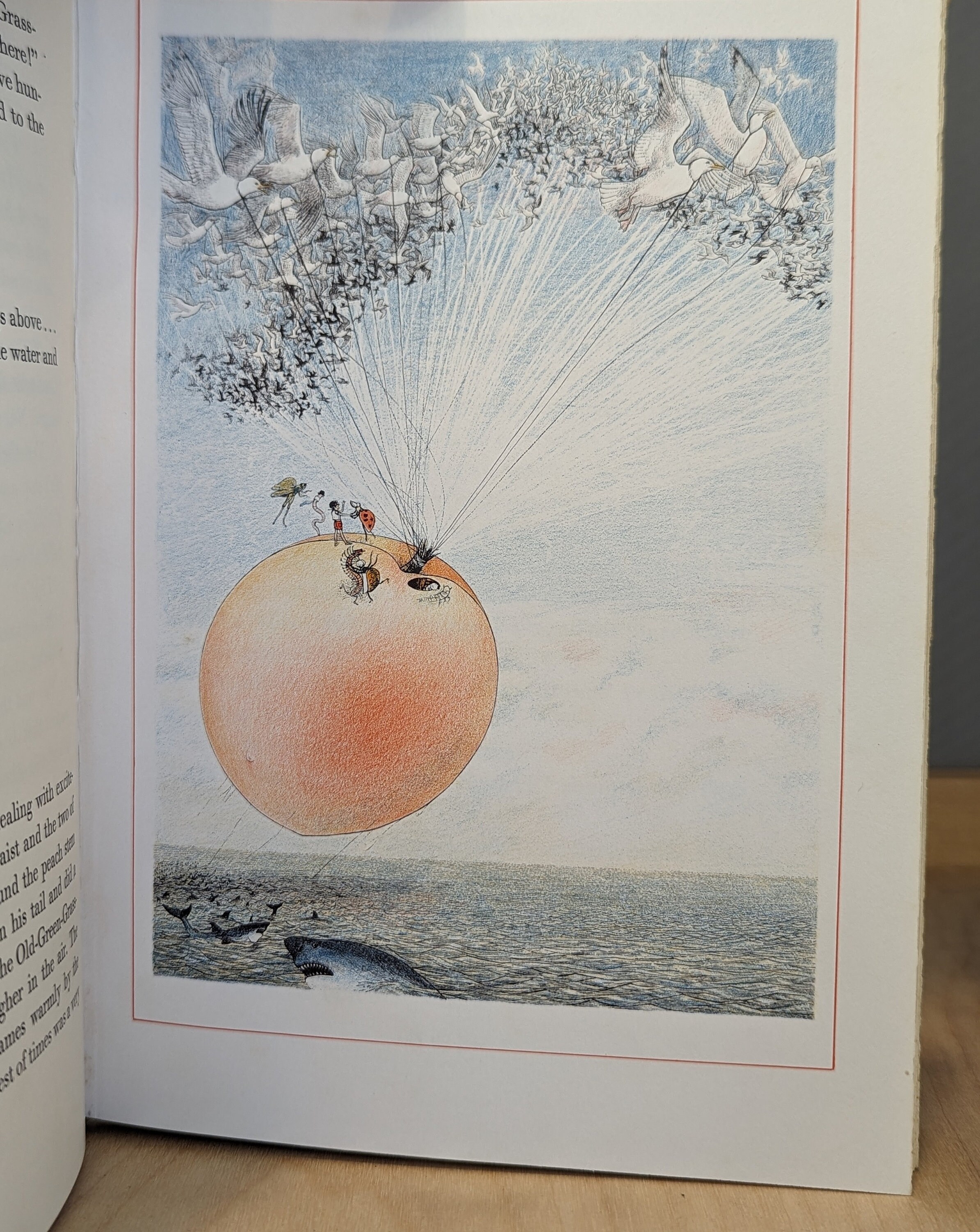 James and the Giant Peach by Roald Dahl 1961 - Etsy