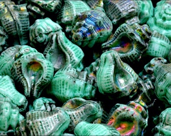 May include: A close-up of a pile of green glass seashells with iridescent details. The shells are smooth and have a textured surface.