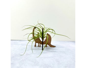 Unique Dino Air Plant Holder Anniversary Birthday Gift for him