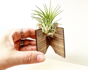 Air Plant Holder Anniversary Birthday Gift for him