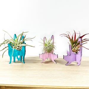 Cat Air Plant Holder: Whimsical Wood Desk Decor
