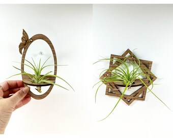 Air Plant Holder Anniversary Birthday Gift for him