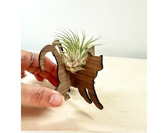 Unique Cat Air Plant Holder Anniversary Birthday Gift for him Cat Lover Present