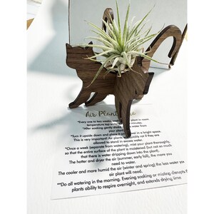 Cat Air Plant Birthday Retirement Gift Best Friend for Her Teacher - Etsy