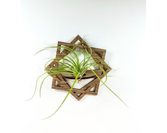 Wood Wall Air Plant Holder: Laser Cut Plant Mount (5x6)
