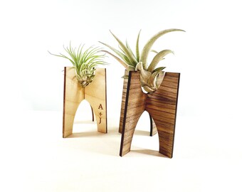 Unique Anniversary Gift Air Plant Holder Birthday Gift for him