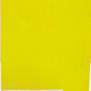 Sue-Treuse paint by Miss Lillian 8 oz