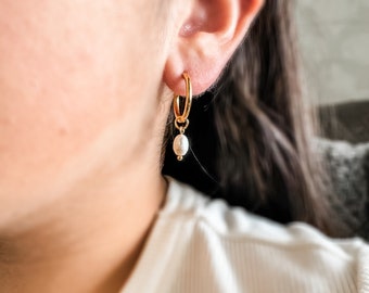 Gold Dipped Pearl Drop Hoop Earrings, Freshwater Pearl Dangle Jewelry