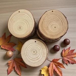 Pode incluir: Três bases redondas de madeira com um furo no topo, mostrando padrões naturais de grão de madeira. As bases são rodeadas por folhas de outono coloridas em tons de vermelho, laranja e amarelo, juntamente com três esferas castanhas.