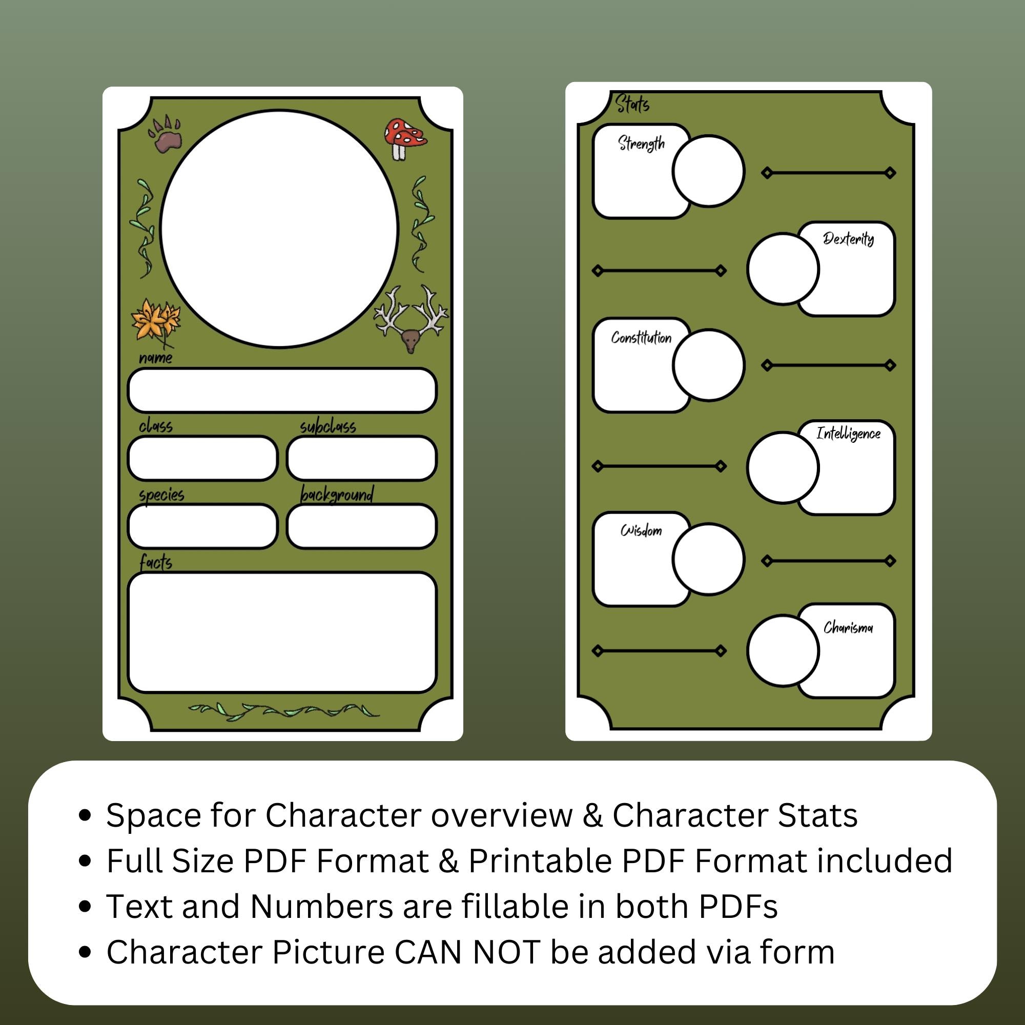 Dnd 5E Druid Character Sheet 2024 – Fillable PDF, Mini Character Sheet ...