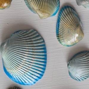 May include: A white ceramic mug with a black handle and the text "But First, Coffee" in a black, bold font. The mug is on a white surface. The mug is 4 inches tall.