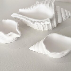 May include: Three matte white ceramic dishes shaped like seashells. The collection includes one large conch-style bowl, one smaller elongated shell dish, and one small, rounded, ruffled-edge shell bowl, all featuring a smooth, unglazed finish.