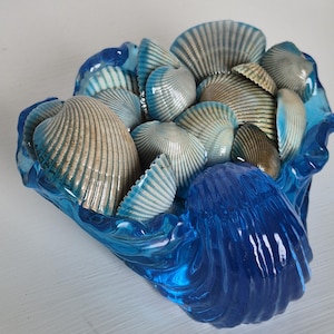 Wave/ shell resin dish with blue shell shine