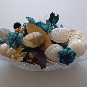May include: A white ceramic bowl filled with seashells, dried flowers, and other natural elements. The bowl is decorated with a blue and white floral design.