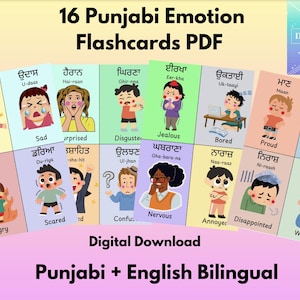 Op de afbeelding: Een set van 16 kleurrijke flashcards met verschillende emoties in het Punjabi en Engels. Elke kaart heeft een cartoonillustratie van een persoon die een emotie uitdrukt, samen met de Punjabi- en Engelse woorden voor de emotie.