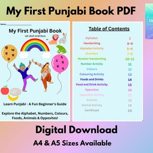 Learn Punjabi for Beginners Book
