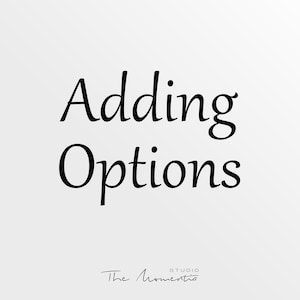 May include: A digitally created image with the words "Adding Options" in a black, elegant script font. Below the text is the studio name "The Momentia" in a smaller, handwritten-style font, all set against a gradient white background.