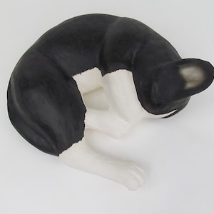 Personalized Urn For a Cat   (TX-BF)