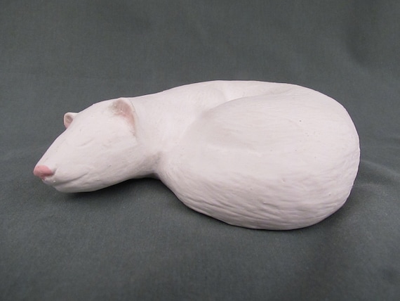 Ferret urn hot sale