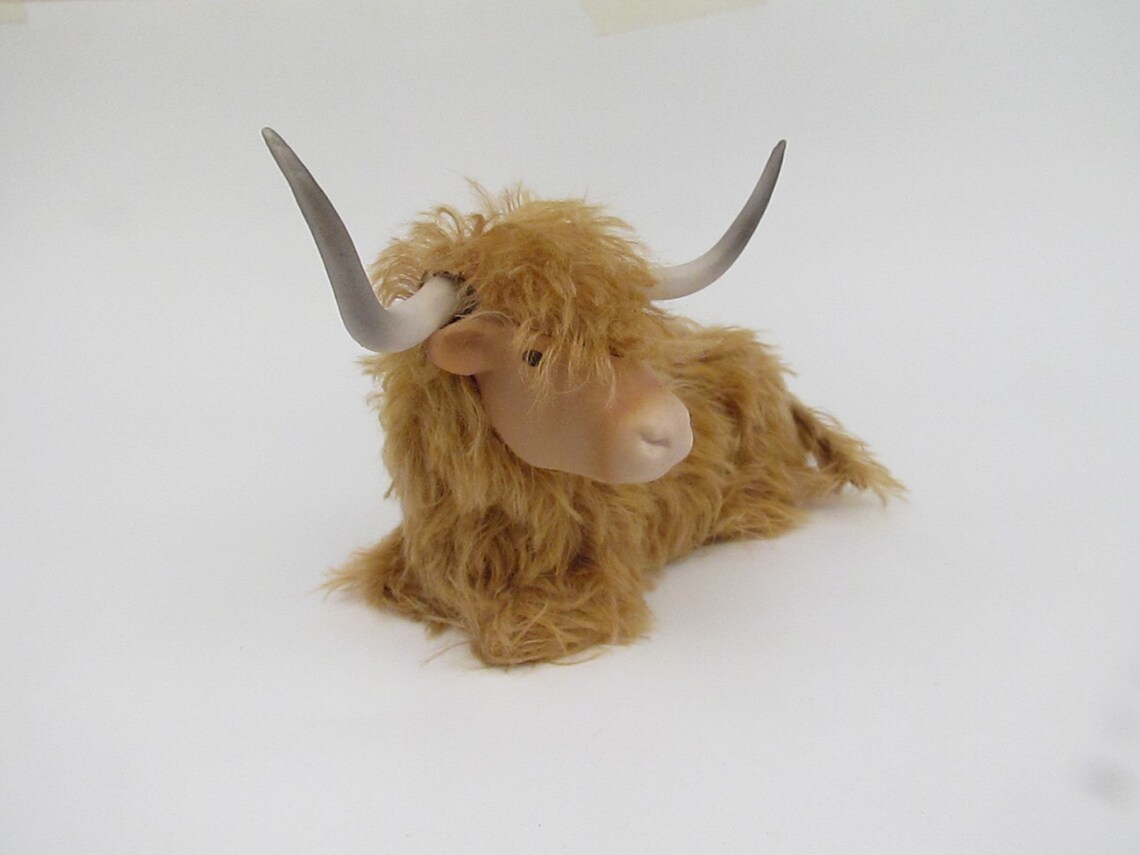 Scottish Highland Cattle Lying Down Etsy