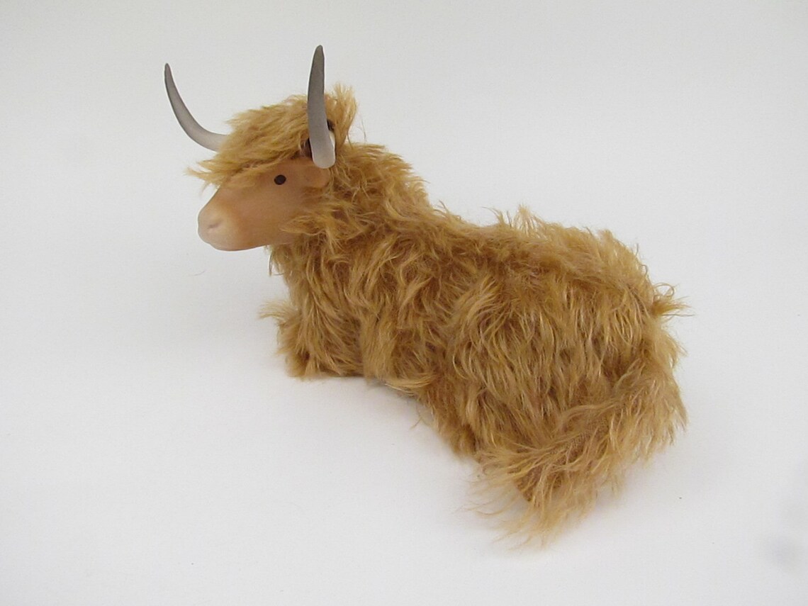 Scottish Highland Cattle Lying Down Etsy