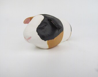 Urn for a Guinea Pig (TRI)