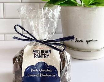 Dark Chocolate Covered Michigan Blueberries - Gourmet Candy (6oz)