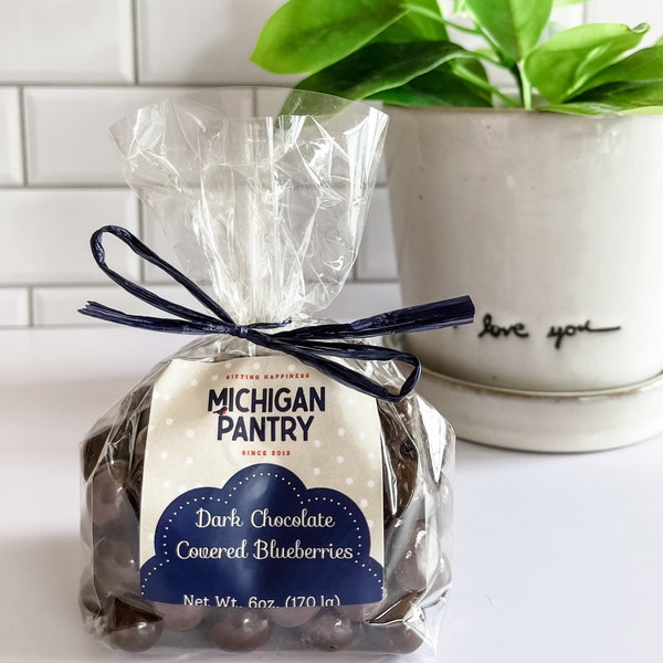 Dark Chocolate Michigan Blueberries | Gourmet Chocolate | Blueberries | Thank You Gift | Candy |