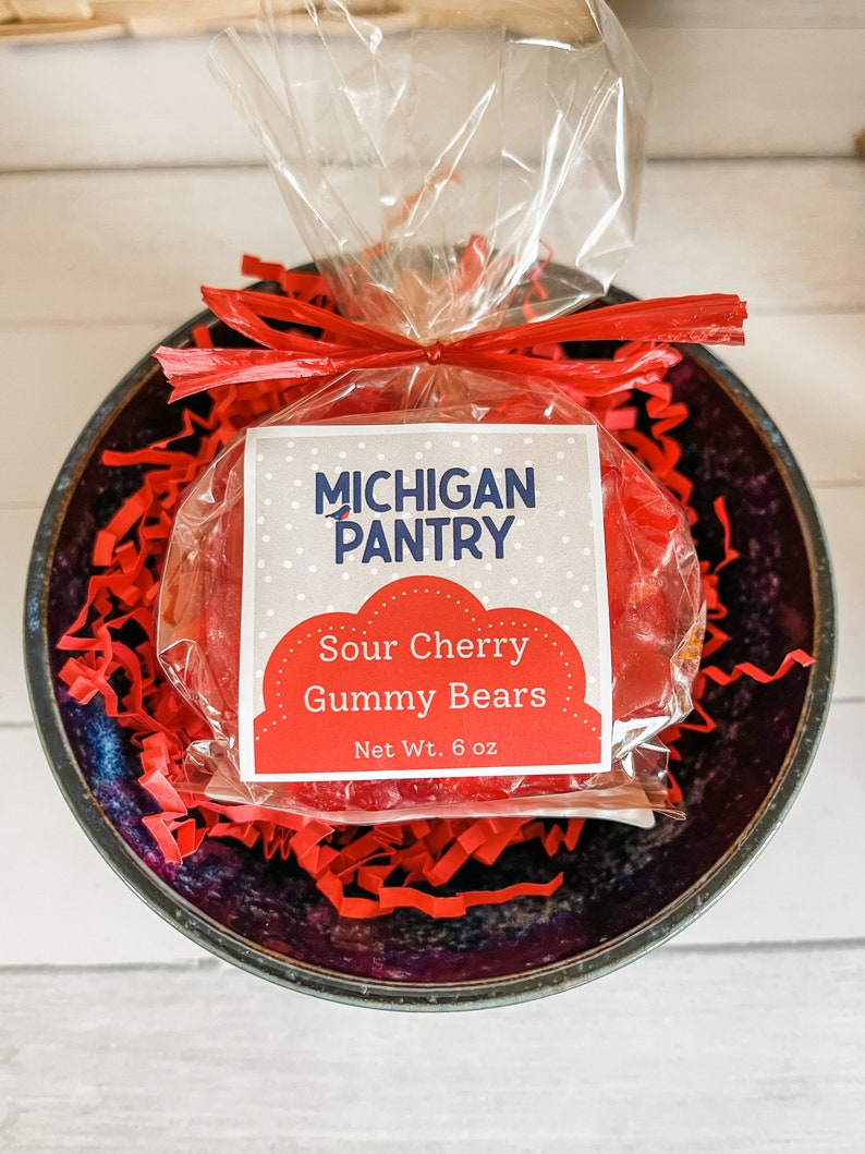 Michigan Sampler Gift Box Michigan Made Gift Thank You Gift Best Gift Basket Chocolate Gift Foodie Cherry Toffee immagine 6