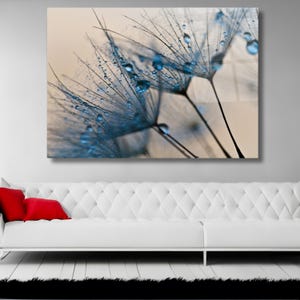 Dandelion Dew Drop Glass Wall Art - Elegant Nature Photography Print - Modern Botanical Tempered Glass Decor for Home & Office