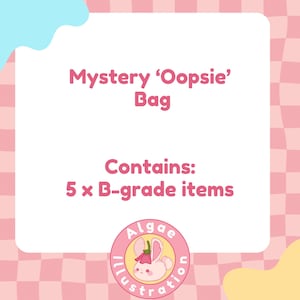 Oopsie-stickertas | Mysterietas van klasse B | Handtas met sticker