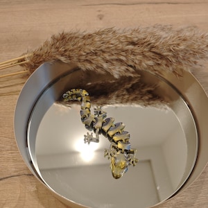 Könnte beinhalten: Eine dekorative Metall-Echsenfigur mit gelben und blauen Akzenten liegt auf einem reflektierenden silbernen Tablett. Das Tablett steht auf einer Holzoberfläche, mit getrocknetem Ziergras im Hintergrund. Die Eidechse ist etwa 15 cm lang.