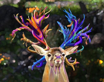 Elk Antlered. Close up of an elk's huge antlers.