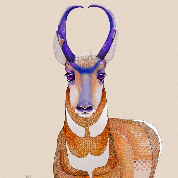 Pronghorn Antelope Purple Eyes