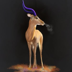 Impala, a Botswana Africa antelope misty sunrise