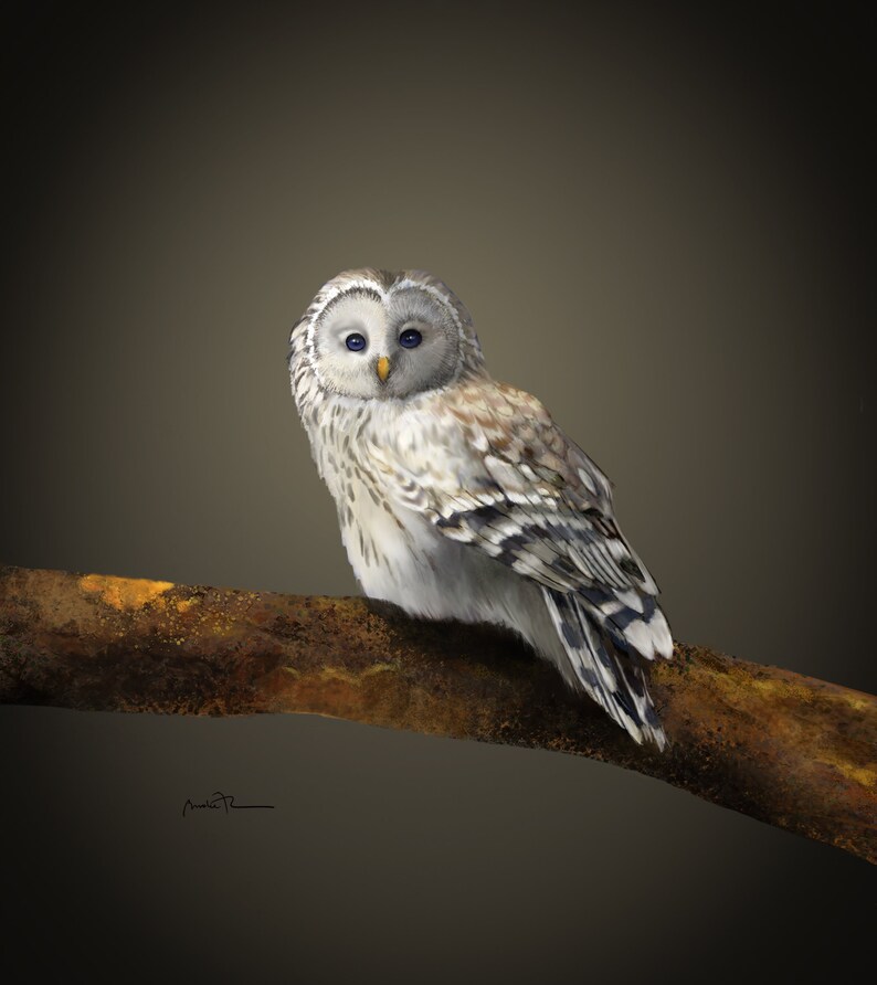 Little White Owl from Astonia Digital Painting Wildlife image 1