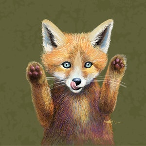 Baby Kit Fox Cute