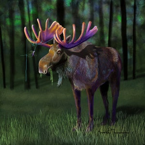 The Bull Moose with Colorful Antlers