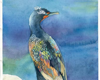 Cormorán de doble cresta, acuarela original de 12x16 pulgadas.