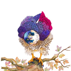 Peregrine Falcon Illustration