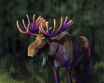 The Bull Moose with Colorful Antlers