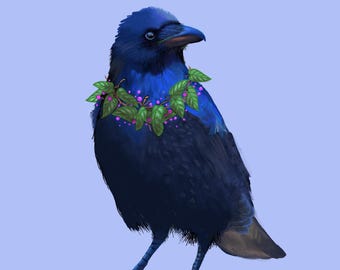 Ilustración azul cuervo